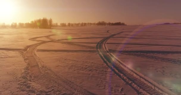 Vista aérea de drones del frío paisaje invernal con campo ártico, árboles cubiertos de nieve helada y rayos de sol matutinos sobre el horizonte. — Vídeo de stock