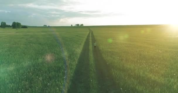 A criança desportiva atravessa um campo de trigo verde. Exercícios de treino desportivo nocturno no prado rural. Uma infância feliz é um modo de vida saudável. Movimento radial, raios de sol e grama. — Vídeo de Stock