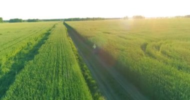 Kırsal yoldaki bir çim tarlasında bisiklet süren genç bir çocuğun hava manzarası. Güneş ışığı ve ışınlar.