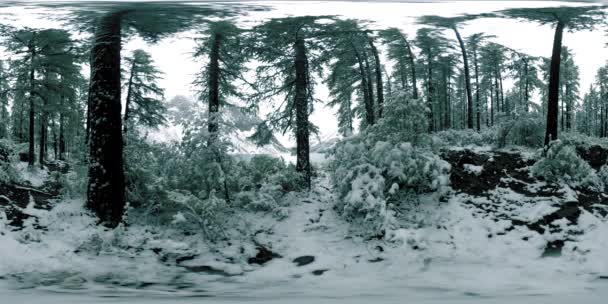 Mountain Lake 360 vr télen. Vad természet és hegyi völgy. Zöld erdő fenyőfák és gyors felhők az égen. — Stock videók