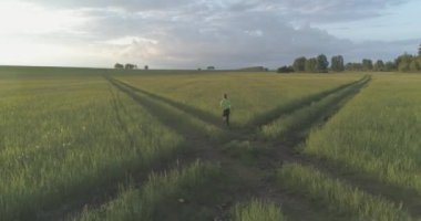 Sportif çocuk yeşil buğday tarlasında koşuyor. Kırsal çayırlarda akşam sporu alıştırmaları. Mutlu bir çocukluk sağlıklı bir yaşam biçimidir. Radikal hareket, güneş ışınları ve ot.