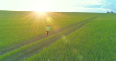 Sportif çocuk yeşil buğday tarlasında koşuyor. Kırsal çayırlarda akşam sporu alıştırmaları. Mutlu bir çocukluk sağlıklı bir yaşam biçimidir. Radikal hareket, güneş ışınları ve ot.