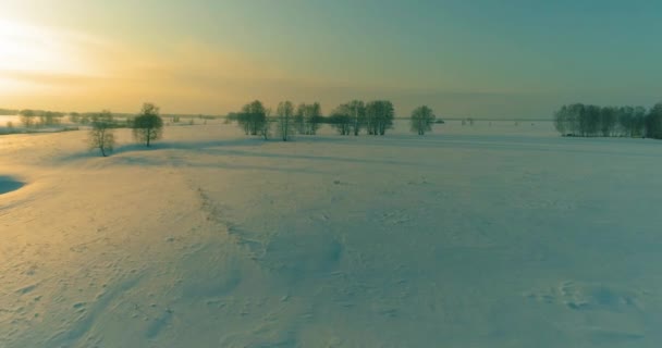 Widok z powietrza zimnego arktycznego krajobrazu pola, drzew z mrozem śniegu, rzeki lodu i promieni słonecznych na horyzoncie. Ekstremalnie niska temperatura. — Wideo stockowe