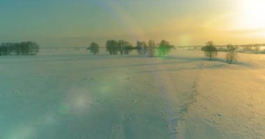 Soğuk arktik alan manzarası, karlı ağaçlar, buz nehri ve ufukta güneş ışınları. Aşırı düşük sıcaklık havası.