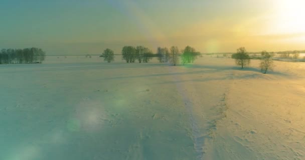 북극의 추운 풍경을 공중에서 볼 수있고, 서리가 내리는 눈 이 있는 나무, 얼음 강, 태양 광선 이 수평선 너머로 비치는 나무들을 볼 수있다. 극히 낮은 온도. — 비디오