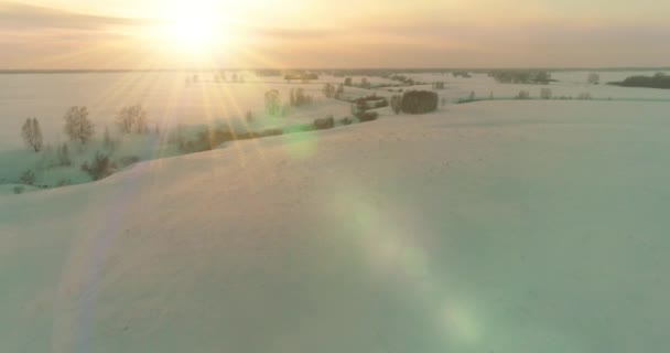 Luchtfoto van het koude arctische veld landschap, bomen met vorst sneeuw, ijsrivier en zonnestralen over de horizon. Extreem lage temperatuur weer. — Stockvideo