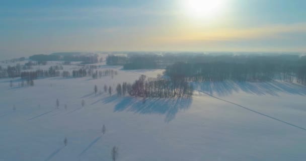 冷たい冬の風景北極フィールドの空中ビュー、木々の霜雪で覆われ、氷の川や水平線上に太陽の光。極端な低温の天候. — ストック動画