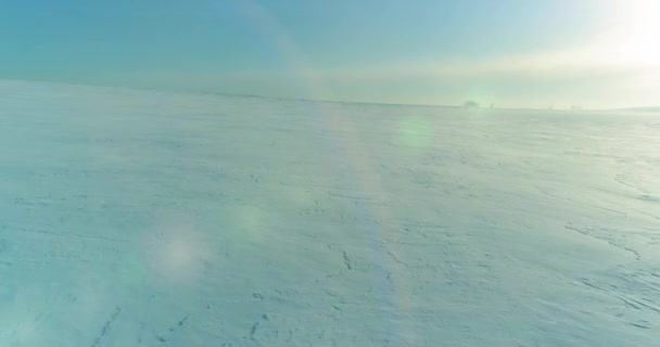 Flygfoto av kallt vinterlandskap arktiskt fält, träd täckta med frost snö, isälv och solstrålar över horisonten. Extremt låg temperatur väder. — Stockvideo