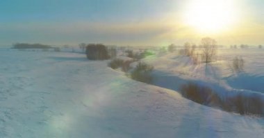 Soğuk kış manzarası kutup bölgesi, karla kaplı ağaçlar, ufukta buz nehri ve güneş ışınları. Aşırı düşük sıcaklık havası.