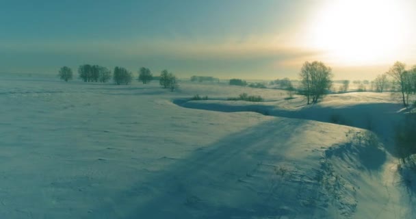 Vista aerea del freddo paesaggio invernale campo artico, alberi coperti di neve gelata, fiume ghiaccio e raggi solari all'orizzonte. Clima estremo a bassa temperatura. — Video Stock