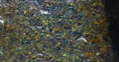 Güneşli yaz sabahında temiz ve taze bir dağ nehri üzerinde uçuşun ortasındayız. Üst görünüm ve yatay hareket