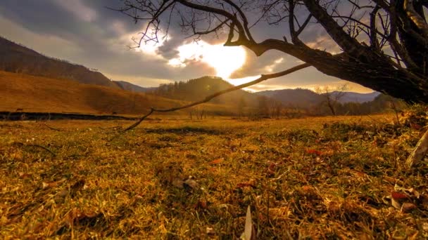 Time lapse of death tree and dry yellow grass at mountian landscape with clouds and sun rays. Horizontal slider movement — Stock Video