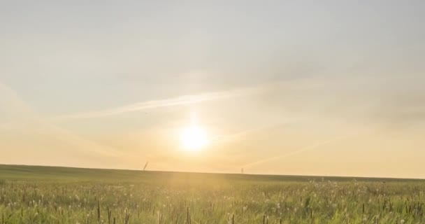 V létě nebo na podzim uběhne čas na horské louce. Divoká nekonečná příroda a venkovské pole. Sluneční paprsky nad zelenou trávou. Motorizovaný posuvník Dolly — Stock video