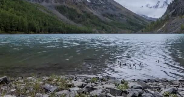 Horské jezero čas vypršel v létě nebo na podzim. Divoká příroda a horské údolí. Zelený les borovic a rychlé mraky na obloze. Motorizovaný posuvník Dolly — Stock video