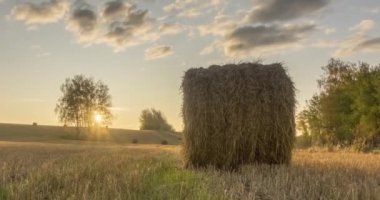 Yaz günbatımında düz tepe çayır zaman çizelgesi. Vahşi doğa ve çim tarlasında kırsal samanlıklar. Güneş ışınları ve yeşil ağaçlar. Motorlu doli kaydırıcı