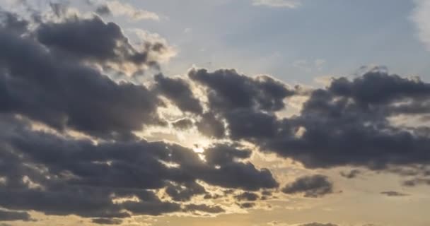 Plat colline prairie timelapse à l'heure du coucher du soleil d'été. Nature sauvage et champ rural. Rayons de soleil, arbres, herbe verte. Curseur de poupée motorisé — Video