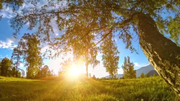 Berg äng Time-lapse på sommaren eller höst tiden. Vild natur och landsbygd. Motoriserad Slider Dolly rörelse. — Stockvideo