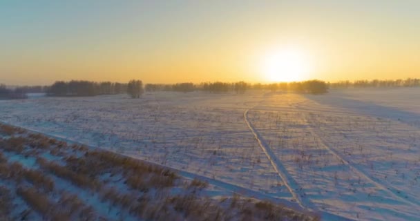 北極のフィールドと寒い冬の風景の空中ドローンビュー、水平線上に霜雪と朝の太陽光線で覆われた木. — ストック動画