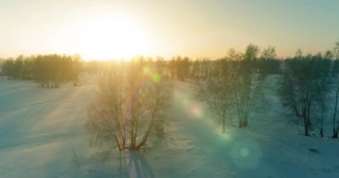 Arktik çayırlı soğuk kış manzarası, karla kaplı ağaçlar ve ufukta sabah güneşleri..