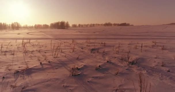 Flygdrönare syn på kallt vinterlandskap med arktiska fält, träd täckta med frost snö och morgonsol strålar över horisonten. — Stockvideo