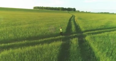 Sportif çocuk yeşil buğday tarlasında koşuyor. Kırsal çayırlarda akşam sporu alıştırmaları. Mutlu bir çocukluk sağlıklı bir yaşam biçimidir. Radikal hareket, güneş ışınları ve ot.