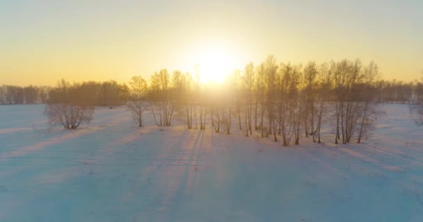 Drohnenaufnahme der kalten Winterlandschaft mit arktischem Feld, Bäumen mit Frostschnee und Morgensonnenstrahlen über dem Horizont. — Stockvideo