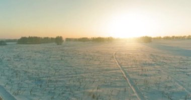 Arktik çayırlı soğuk kış manzarası, karla kaplı ağaçlar ve ufukta sabah güneşleri..