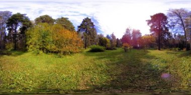 Bir şehir parkının UHD 4K 360 VR Sanal Gerçekliği. Sonbaharda ya da yaz gününde ağaçlar ve yeşil çimenler