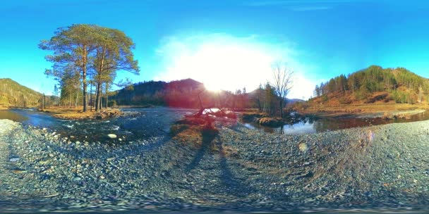 360 VR réalité virtuelle d'une montagne sauvage, pinède et rivière coule. Parc national, prairie et rayons du soleil. — Video