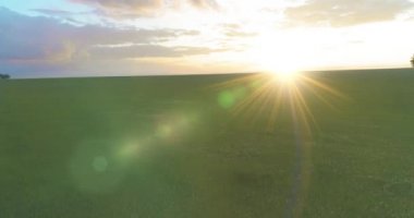 4K UHD hava görüntüsü. Güneşli yaz akşamlarında sonsuz yeşil tarlaları olan kırsal arazinin üzerinde alçak uçuş. Ufuktaki güneş ışınları. Hızlı yatay hareket.