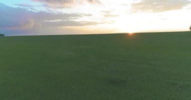 4K UHD hava görüntüsü. Güneşli yaz akşamlarında sonsuz yeşil tarlaları olan kırsal arazinin üzerinde alçak uçuş. Ufuktaki güneş ışınları. Hızlı yatay hareket.