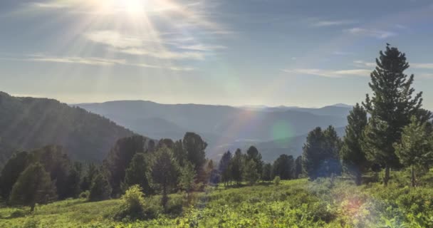 Timelapse från bergsängen. Vild natur och landsbygd. Moln, träd, grönt gräs och solstrålar rörelse. Kamerarörelse. — Stockvideo