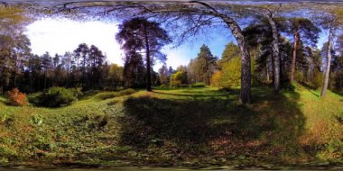 Bir şehir parkının UHD 4K 360 VR Sanal Gerçekliği. Sonbaharda ya da yaz gününde ağaçlar ve yeşil çimenler