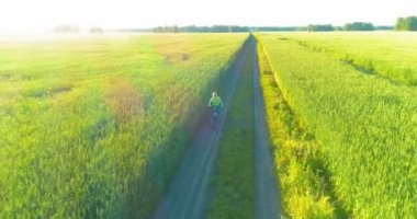 Kırsal yoldaki bir çim tarlasında bisiklet süren genç bir çocuğun hava manzarası. Güneş ışığı ve ışınlar.