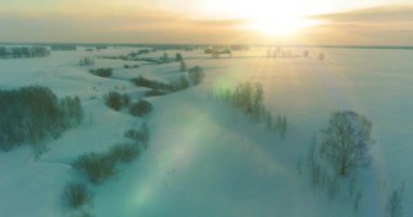 Soğuk arktik alan manzarası, karlı ağaçlar, buz nehri ve ufukta güneş ışınları. Aşırı düşük sıcaklık havası.
