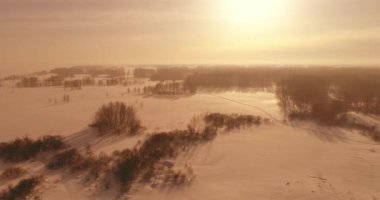 Soğuk kış manzarası kutup bölgesi, karla kaplı ağaçlar, ufukta buz nehri ve güneş ışınları. Aşırı düşük sıcaklık havası.