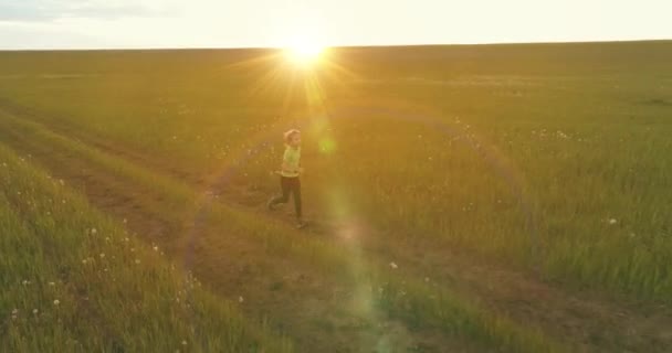 Спортивна дитина проходить через зелене пшеничне поле. Вечірні спортивні тренування на сільському лузі. Щасливе дитинство це здоровий спосіб життя. Радіальний рух, сонячні промені і трава . — стокове відео