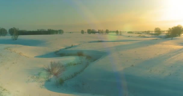 Luftaufnahme der kalten arktischen Feldlandschaft, Bäume mit Frostschnee, Eisfluss und Sonnenstrahlen über dem Horizont. Extrem niedrige Temperaturen. — Stockvideo