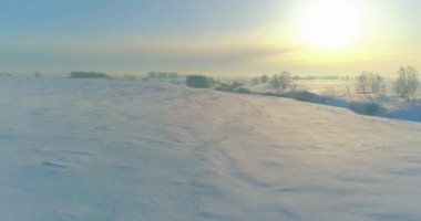 Soğuk kış manzarası kutup bölgesi, karla kaplı ağaçlar, ufukta buz nehri ve güneş ışınları. Aşırı düşük sıcaklık havası.