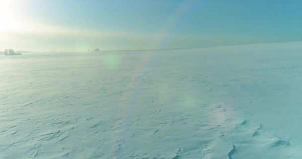 Flygfoto av kallt vinterlandskap arktiskt fält, träd täckta med frost snö, isälv och solstrålar över horisonten. Extremt låg temperatur väder. — Stockvideo