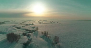 Soğuk kış manzarası kutup bölgesi, karla kaplı ağaçlar, ufukta buz nehri ve güneş ışınları. Aşırı düşük sıcaklık havası.