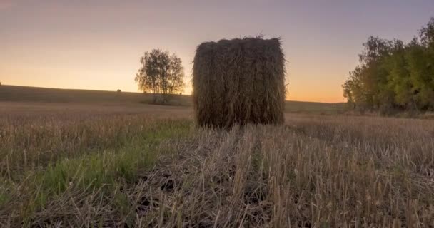 Płaska łąka łąka timelapse w letnim czasie wschodu słońca. Dzika przyroda i wiejskie stogi siana na polu trawy. Promienie słońca i zielone drzewa. Suwak z wózkiem silnikowym — Wideo stockowe