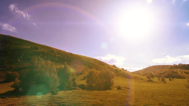 山の牧草地の夏にはタイムラプス。雲、木、緑の草、太陽光線の動き. — ストック動画