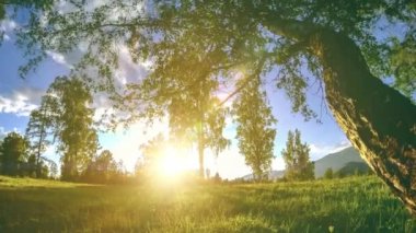 Yaz veya sonbahar aylarında dağ çayır zaman atlamalı. Vahşi doğa ve kırsal alan. Motorlu sürgü dolly hareketi.