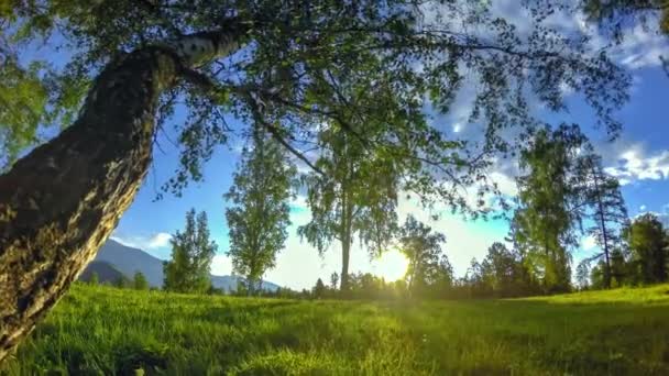 Caducidad del prado de montaña en verano u otoño. Naturaleza salvaje y campo rural. Movimiento de muñeca deslizante motorizado . — Vídeo de stock