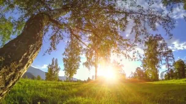 Berg äng Time-lapse på sommaren eller höst tiden. Vild natur och landsbygd. Motoriserad Slider Dolly rörelse. — Stockvideo