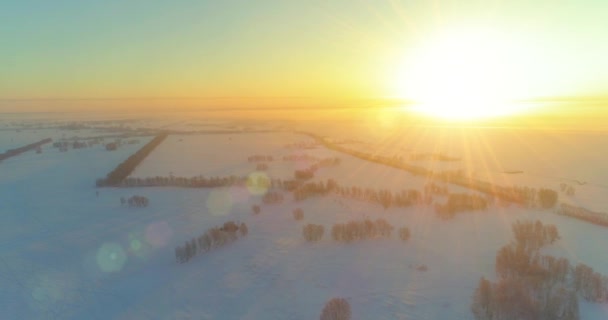 Aerial drone view of cold winter landscape with arctic field, trees covered with frost snow and morning sun rays over horizon. — Stock Video