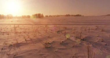 Arktik çayırlı soğuk kış manzarası, karla kaplı ağaçlar ve ufukta sabah güneşleri..