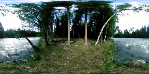 360 VR virtuell verklighet av en vild skog. Tallskog, liten snabb, kall fjällälv. National park. — Stockvideo