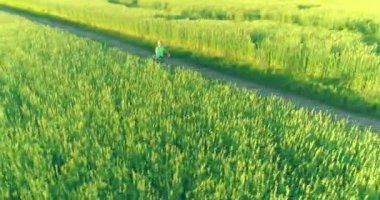 Kırsal yoldaki bir çim tarlasında bisiklet süren genç bir çocuğun hava manzarası. Güneş ışığı ve ışınlar.